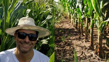 Sembró maíz en suelos arcillosos y logró 9.500 kilos por hectárea, superando al híbrido histórico en la zona: cómo lo logró