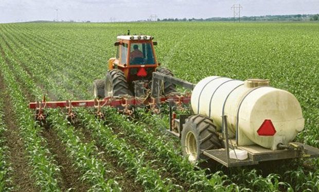 Proyección del consumo de insumos para la campaña de gruesa