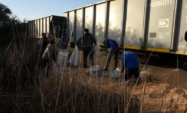 Preocupación: saquearon dos trenes con maíz en una semana