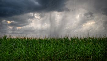 La Niña se mantiene activa y normalizará las lluvias hasta febrero, mientras que las temperaturas serán elevadas La Niña se mantiene activa y normalizará las lluvias hasta febrero, mientras que las temperaturas serán elevadas