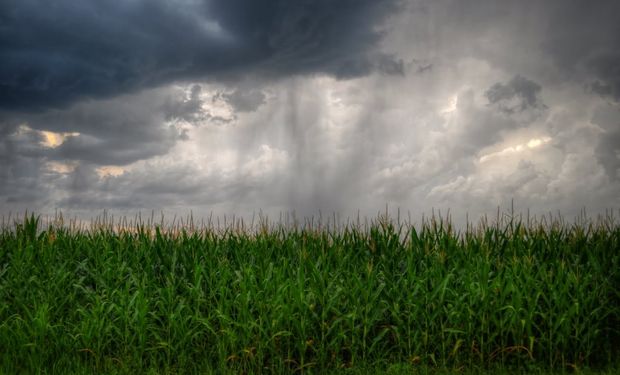 La Niña se mantiene activa y normalizará las lluvias hasta febrero, mientras que las temperaturas serán elevadas