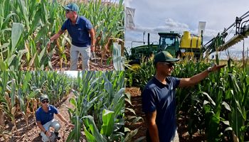 Es uno de los primeros en sembrar una tecnología inédita de maíz y cuenta la experiencia: "La adopción va a ser masiva"