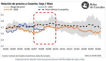 En el final de la presiembra, la relación de precios entre la soja y el maíz se revirtió: qué dice la intención de productores
