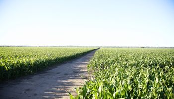 Seguro multirriesgo para el agro: cómo funciona la primera experiencia en Córdoba