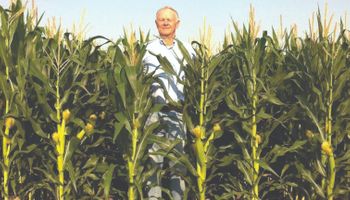 Anticipo: la revolucionaria tecnología de maíz que se lanzará en Argentina