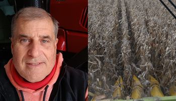 Con 185 quintales por hectárea de maíz duplicó el rinde nacional: “Fue una suma de cosas que se hicieron bien”