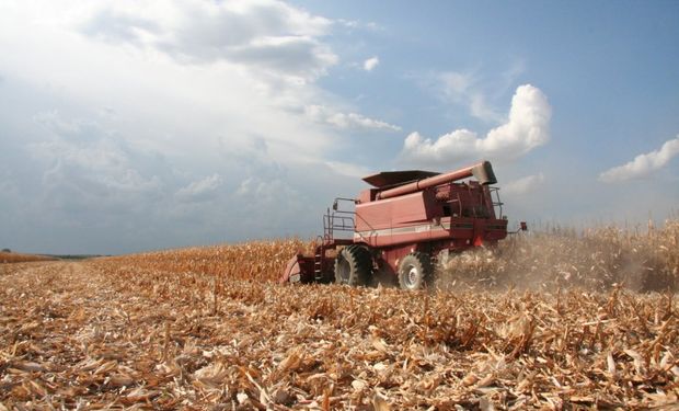 La Bolsa de Cereales de Buenos Aires actualizó el calculo de pérdidas por las condiciones climáticas adversas.