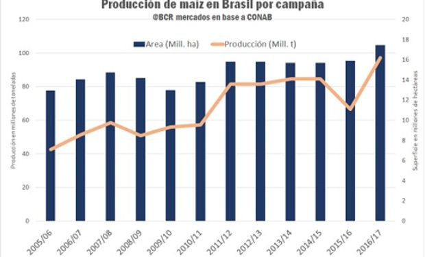 Con rindes excepcionales y una actividad exportadora sin precedentes, el maíz brasileño rompe marcas históricas. Fuente: Bolsa de Comercio de Rosario.