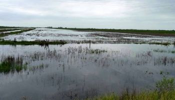 Córdoba: estiman pérdidas de U$S 60 millones por las lluvias