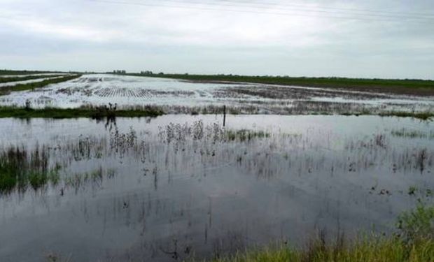 La persistencia del agua en la superficie de los lotes, en algunas zonas del sudeste de Córdoba, impidió ingresar con las sembradoras.