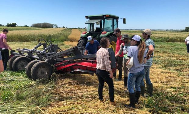 Cómo controlan malezas en las zonas en donde no se pueden aplicar agroquímicos