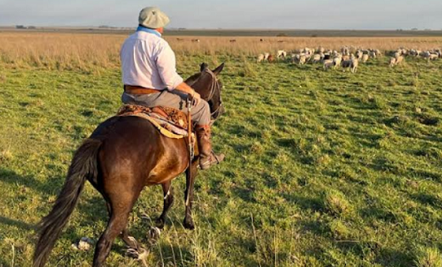 Malvinas: recibió una bala en el craneo y ahora encuentra refugio en el campo