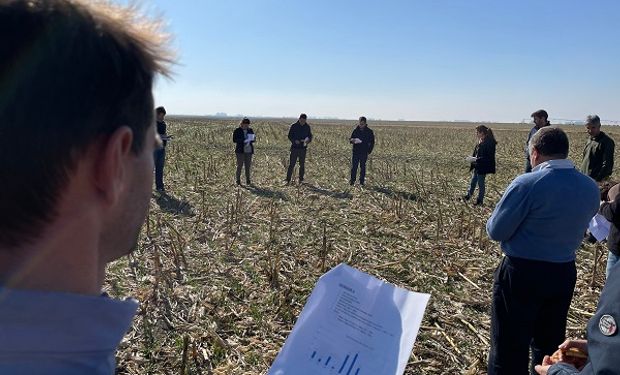 Man Agro: la fórmula de un gigante argentino de la siembra para alquilar campos para "toda la vida"