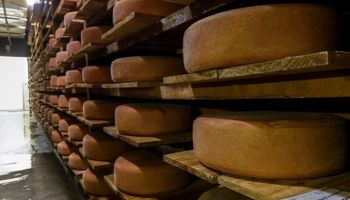 Como um queijo artesanal do interior de SP fez história e foi parar nos Estados Unidos