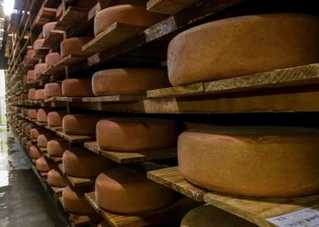Como um queijo artesanal do interior de SP fez história e foi parar nos Estados Unidos