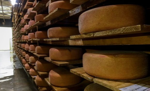 Como um queijo artesanal do interior de SP fez história e foi parar nos Estados Unidos
