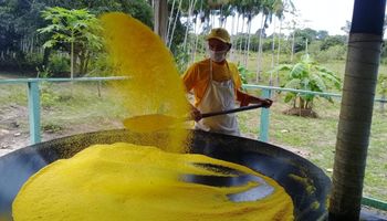 Alimento mais mortal do mundo está na rotina diária dos brasileiros 