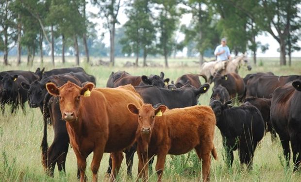 Claves para anticiparse al invierno y realizar un correcto manejo de los rodeos