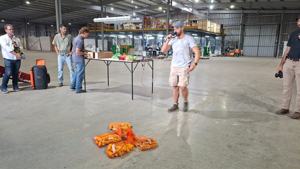 manejo de semillas stine