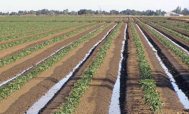 Manejo de suelos anegados y cambio climático en Las Parejas.