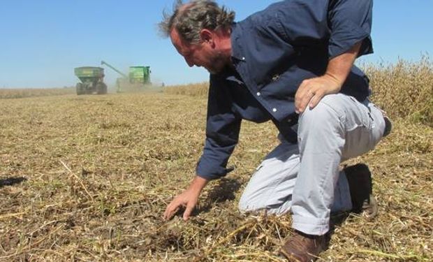 Martín Ambrogio evalúa las pérdidas de cosecha en soja, la última campaña.