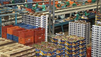 Tarifaço: Governo cria regra para compras públicas; veja os alimentos incluídos