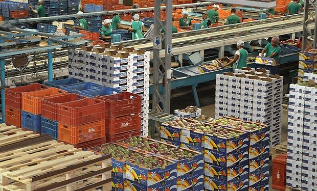 Tarifaço: Governo cria regra para compras públicas; veja os alimentos incluídos