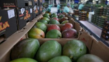 Acordo Mercosul-UE pode alavancar faturamento das exportações de frutas em 40% até 2029