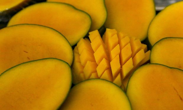 Manga explode 212% e puxa alta histórica no agro da Bahia
