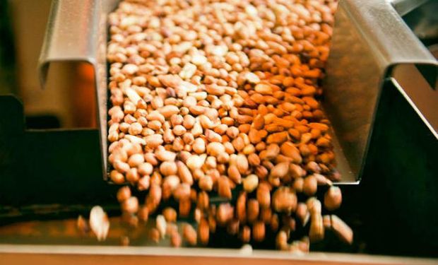 Crearán el Instituto Argentino del Maní para impulsar al cultivo que genera más de 1100 millones de dólares