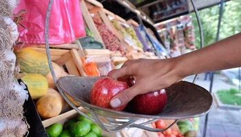 Precio de los alimentos: el productor sólo participa del 26,3% de lo que paga el consumidor en góndola