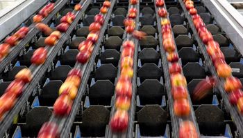Manzanas: las tecnologías que potencian a un mercado de US$ 79.000 millones al año