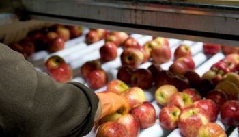 Peras y manzanas: Agroindustria impulsa un proyecto de Ley para beneficiar a los distintos actores de la cadena