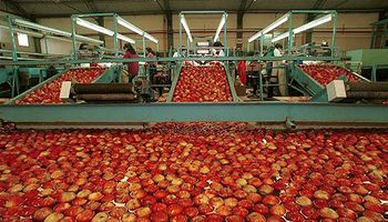 De la manzana al maíz: cuánto mejoró el poder de compra de la exportación
