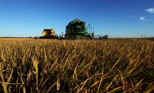 Chamada premiará greentechs e foodtechs com soluções dentro e fora da porteria. (foto - Mapa)