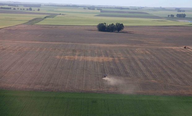 Córdoba: cayó un 30 % el valor promedio del arrendamiento agricola, pero se mantiene en niveles elevados