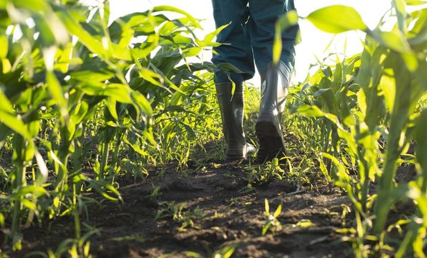 Crédito é do Fundo de Terras e da Reforma Agrária. (Foto: Mapa)