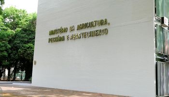 Quem será o novo ministro da Agricultura de Lula?