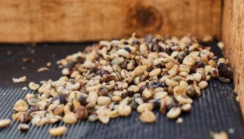 Mapa manda recolher cafés irregulares e divulga lista de marcas