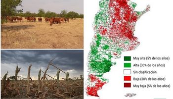 El mapa más completo de la sequía: qué departamentos son los más afectados en cada provincia