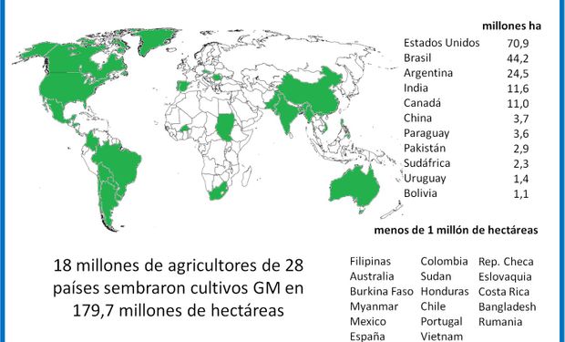 Argentina continúa siendo uno de los principales productores de cultivos GM, luego de EEUU y Brasil, con 24,5 millones de hectáreas en 2015