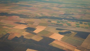 No se veía desde principios del siglo XX: el cultivo que cambia el mapa productivo de la Argentina y suman cada vez más productores