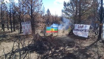 Denuncian la usurpación de mapuches en un campo de El Bolsón 