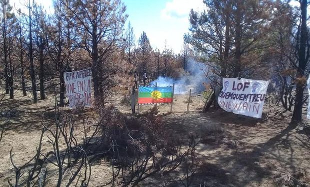 Denuncian la usurpación de mapuches en un campo de El Bolsón 