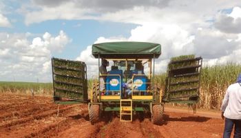 Plantadora 100% automatizada permite operação de plantio de mudas dia e noite