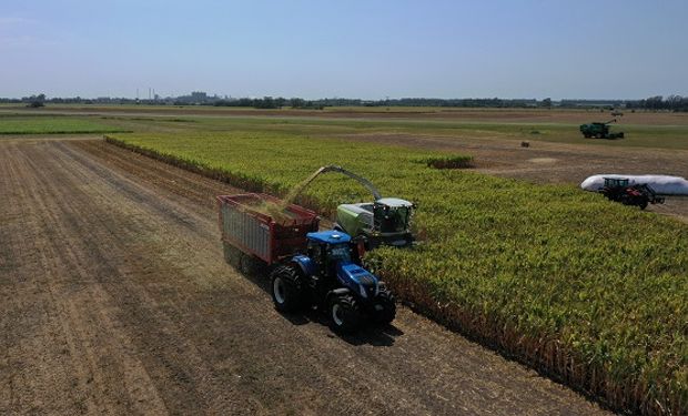 Los números de la maquinaria agrícola argentina: estiman que el sector genera 26.500 empleos directos