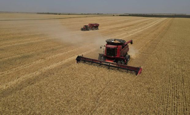 Maquinaria agrícola: fabricantes destacan la gran demanda y reiteran el pedido de una Ley que defina al "producto nacional"