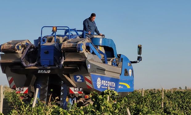 Las máquinas que revolucionan a una producción icónica del campo argentino