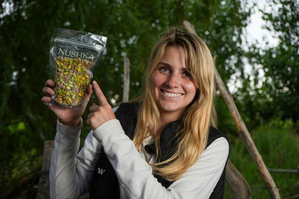marca de pistachos
