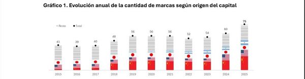 Marcas chinas mercado automotor argentino